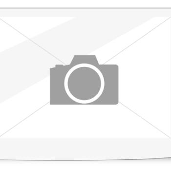 THE ENDLESS WORLD OF QUARTER-TURNS THE ENDLESS WORLD OF QUARTER-TURNS